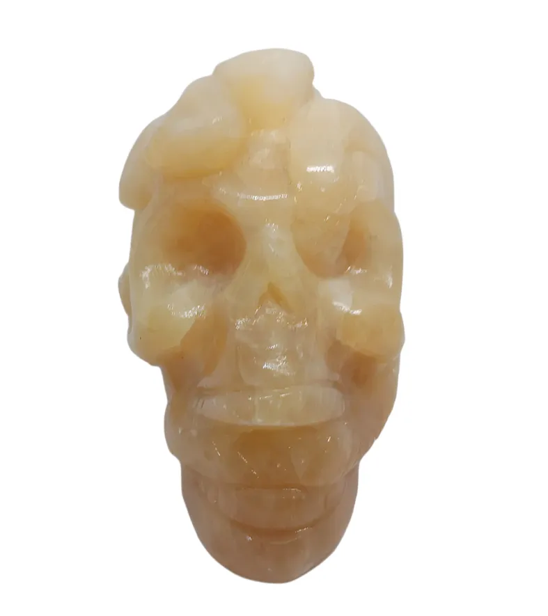 513G Yellow Jade Crystal Medusa Skull