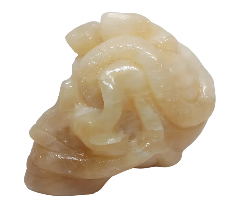 513G Yellow Jade Crystal Medusa Skull