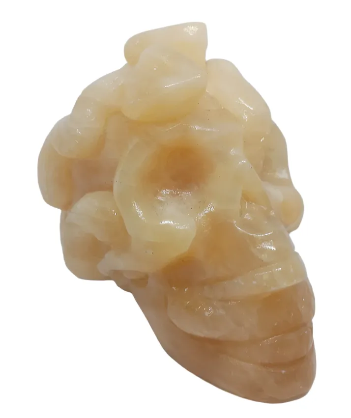 513G Yellow Jade Crystal Medusa Skull