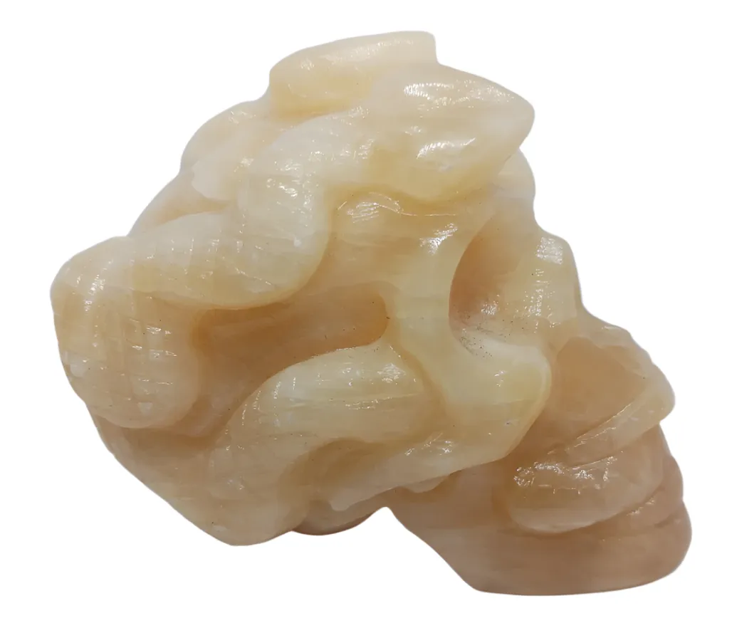 513G Yellow Jade Crystal Medusa Skull