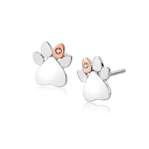 Clogau Paw Print Stud Earrings