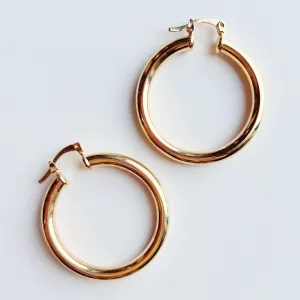 Elegant Gold Hoop Earrings