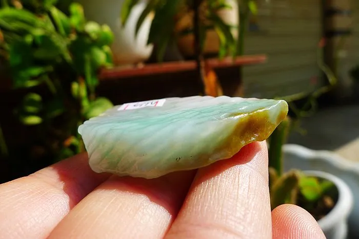 Natural Jade Rough Jadeite Raw (19g,4.4X3X0.7cm)