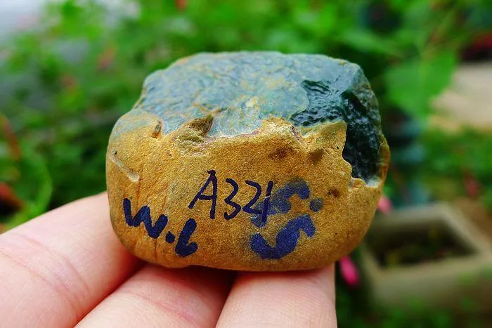 Natural Jade Rough Jadeite Raw (33g,3.2X2.5X2.1cm)