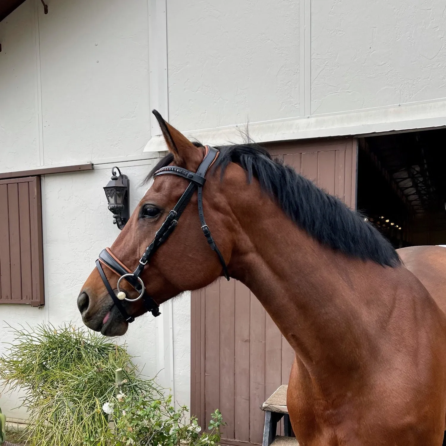 The Sedona Black Leather Snaffle Bridle with Flash