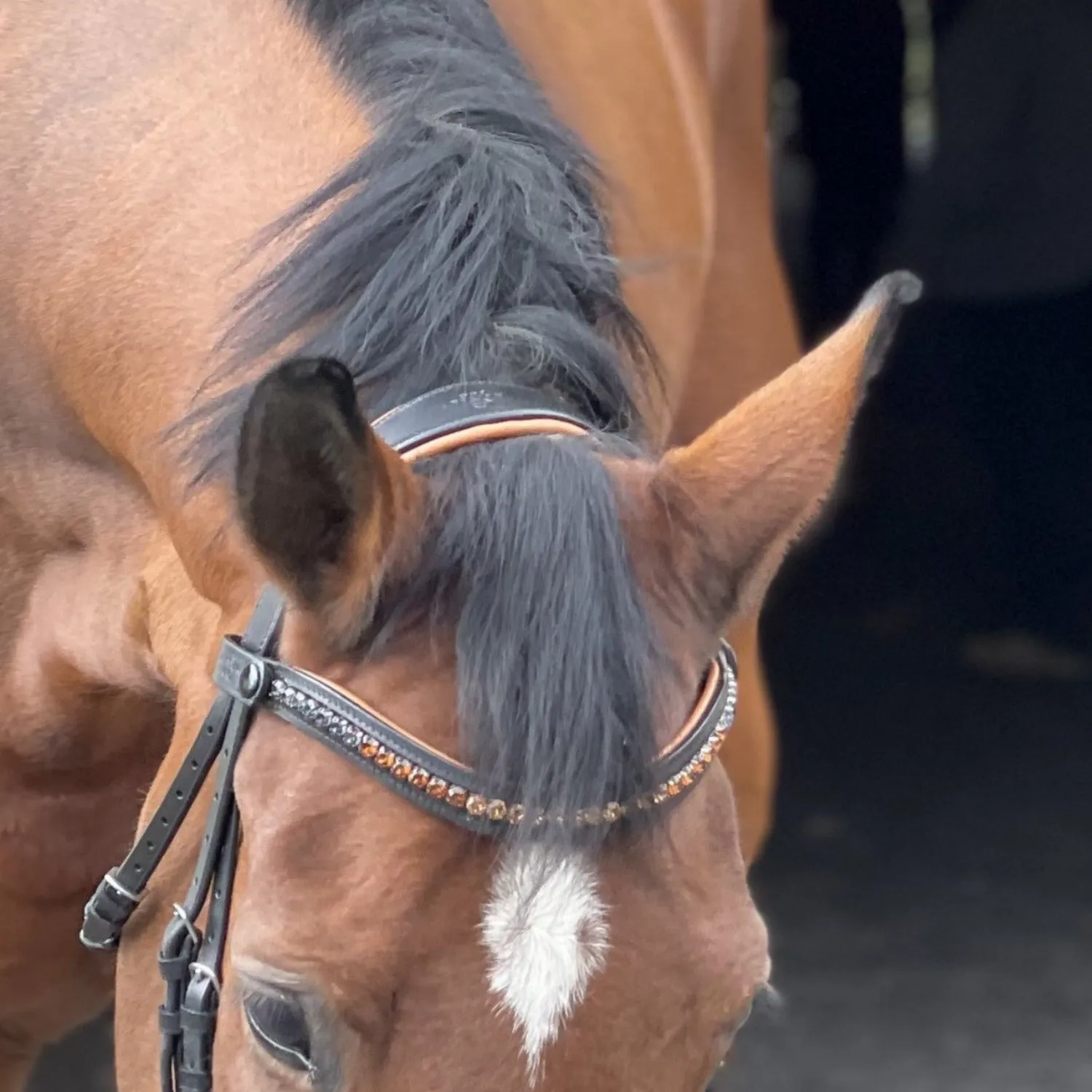 The Sedona Black Leather Snaffle Bridle with Flash