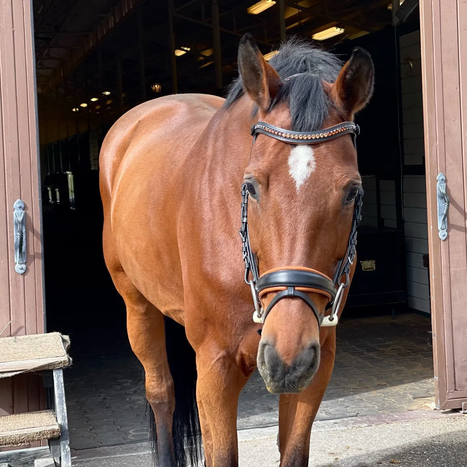 The Sedona Black Leather Snaffle Bridle with Flash