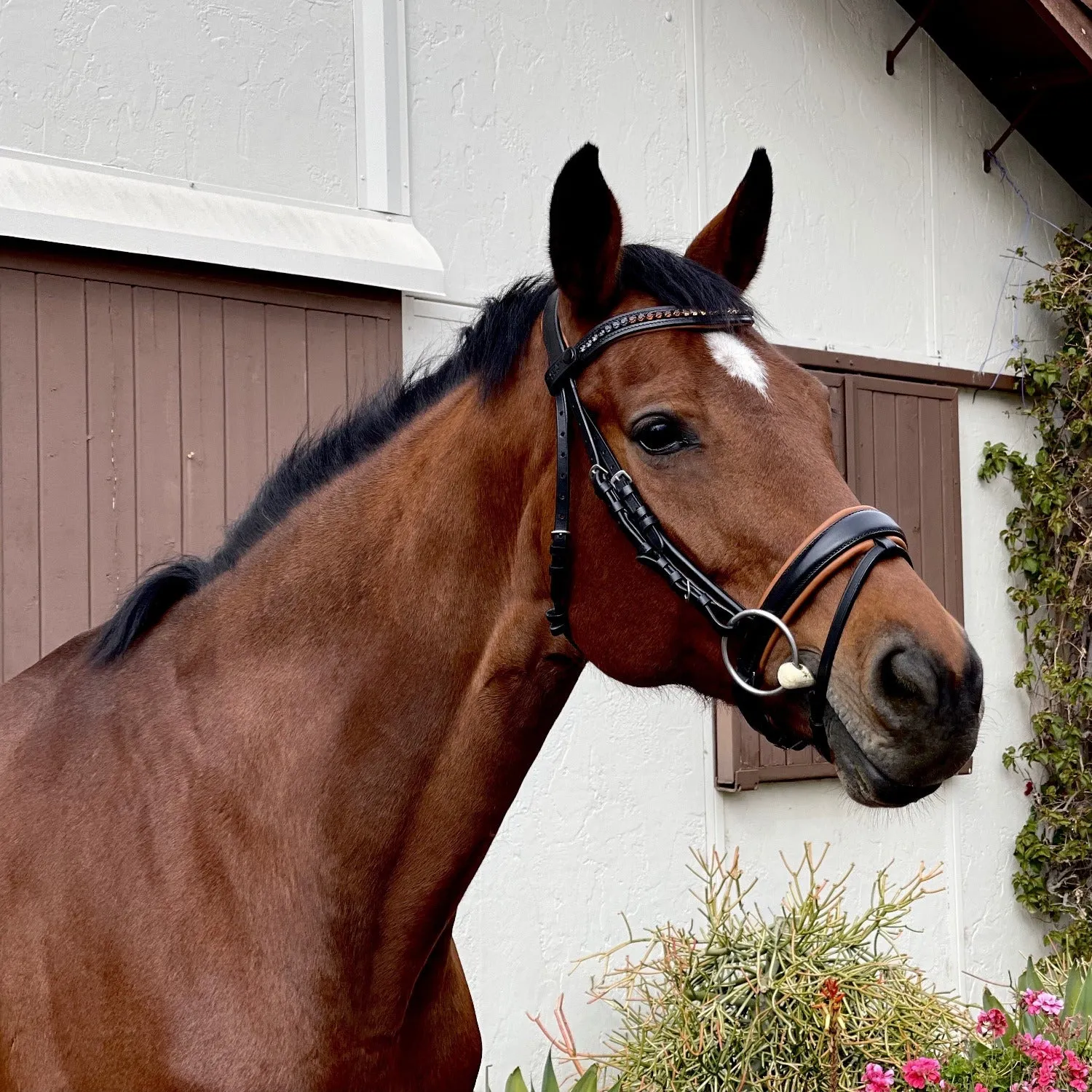 The Sedona Black Leather Snaffle Bridle with Flash